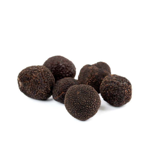 Black Truffle - Melanosporum